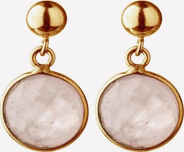 Gemshine Earrings in Gold: front