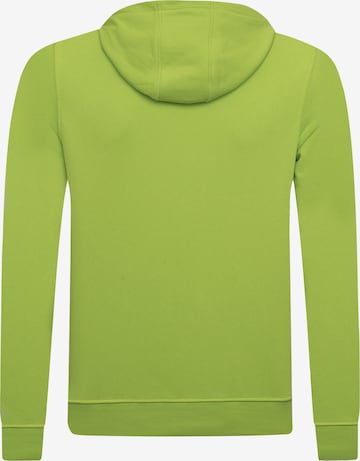 Sweat-shirt DENIM CULTURE en vert