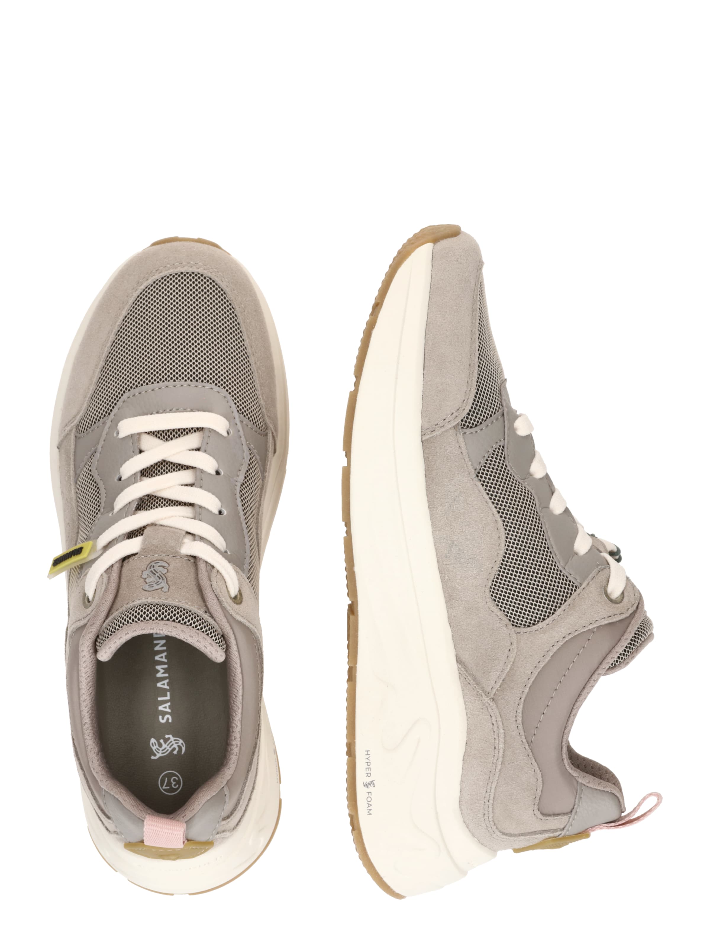 SALAMANDER - Zapatillas deportivas bajas 'ARO' en gris