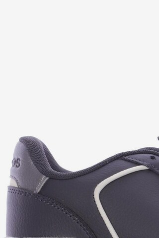 ADIDAS PERFORMANCE Sneaker 39 in Grau