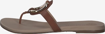 UNISA T-Bar Sandals in Brown