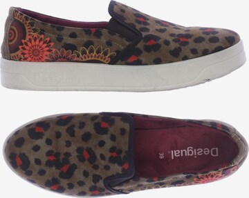 Desigual Flats & Loafers in 39 in Brown: front
