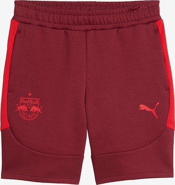 PUMAregular Sportske hlače 'Bull Salzburg Evostripe' - crvena boja: prednji dio