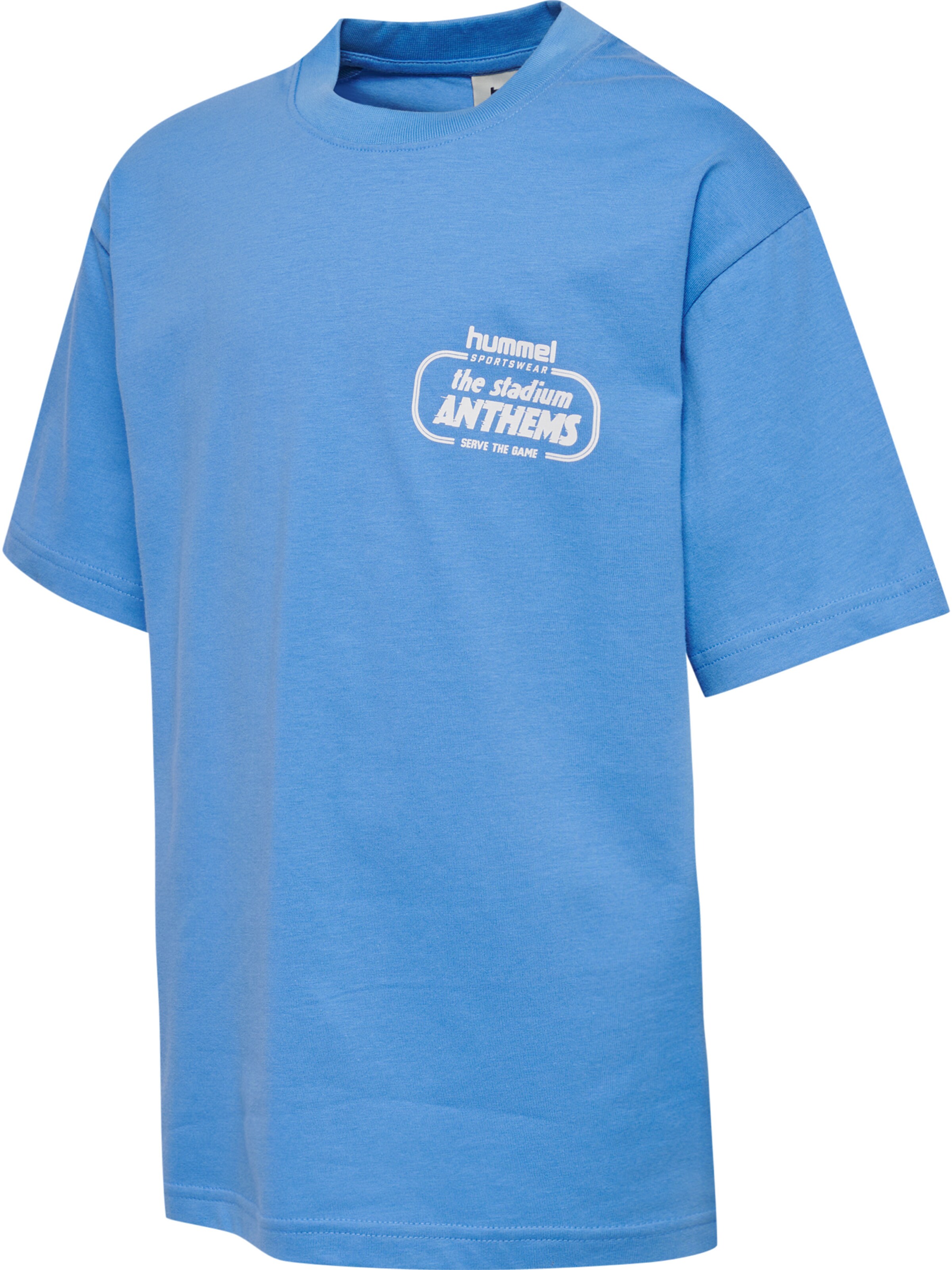 Hummel Shirt in Blue