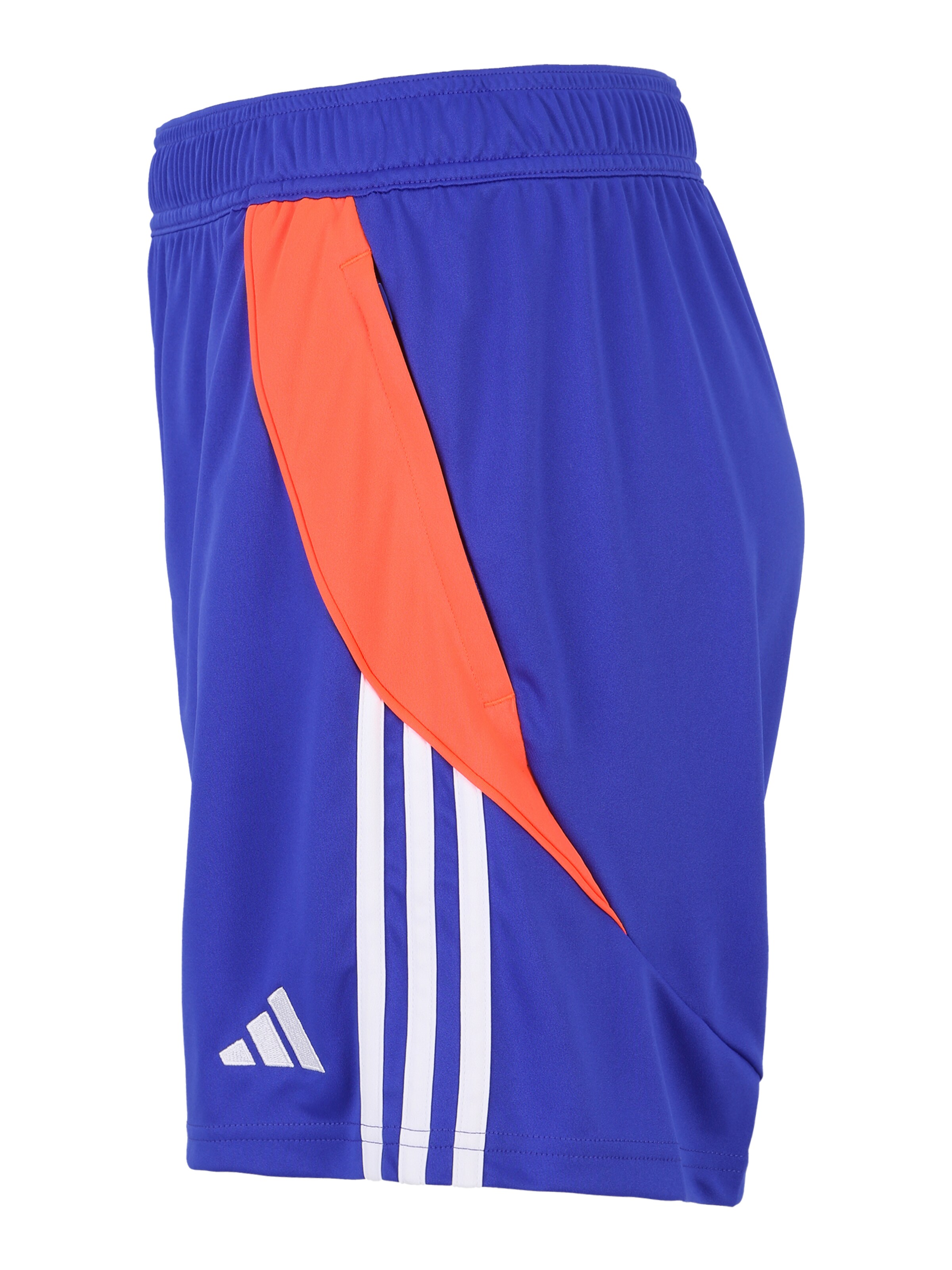 regular Pantaloni sportivi 'Tiro 24' di ADIDAS PERFORMANCE in blu