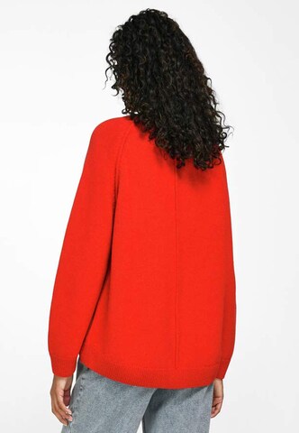 Peter Hahn Pullover in Rot