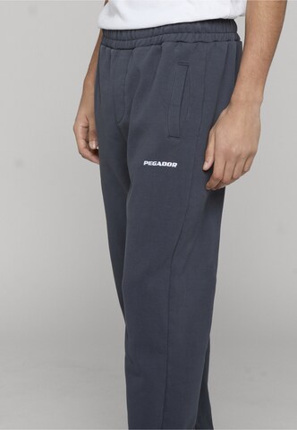 Effilé Pantalon Pegador en bleu