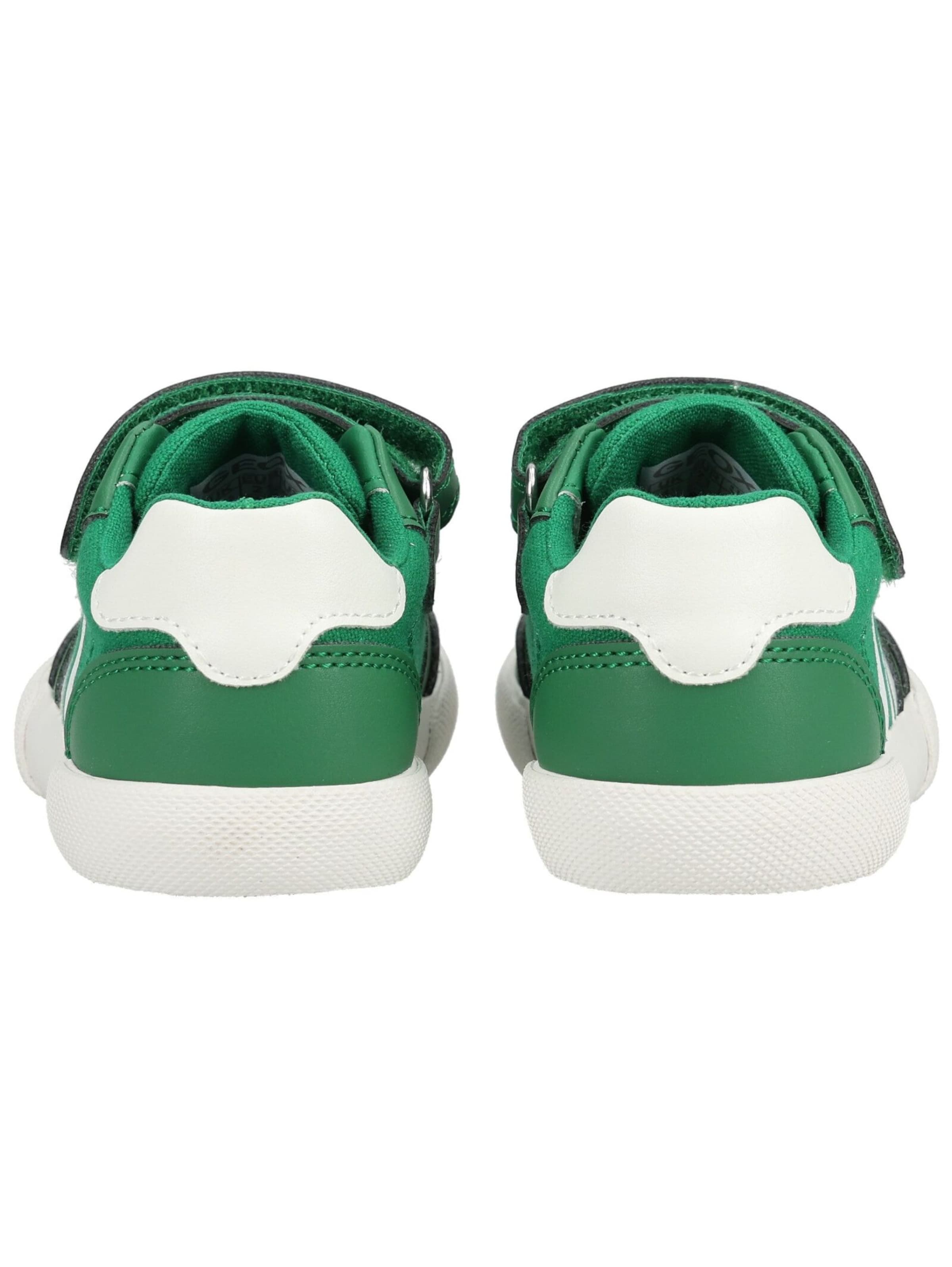 Baskets GEOX en vert