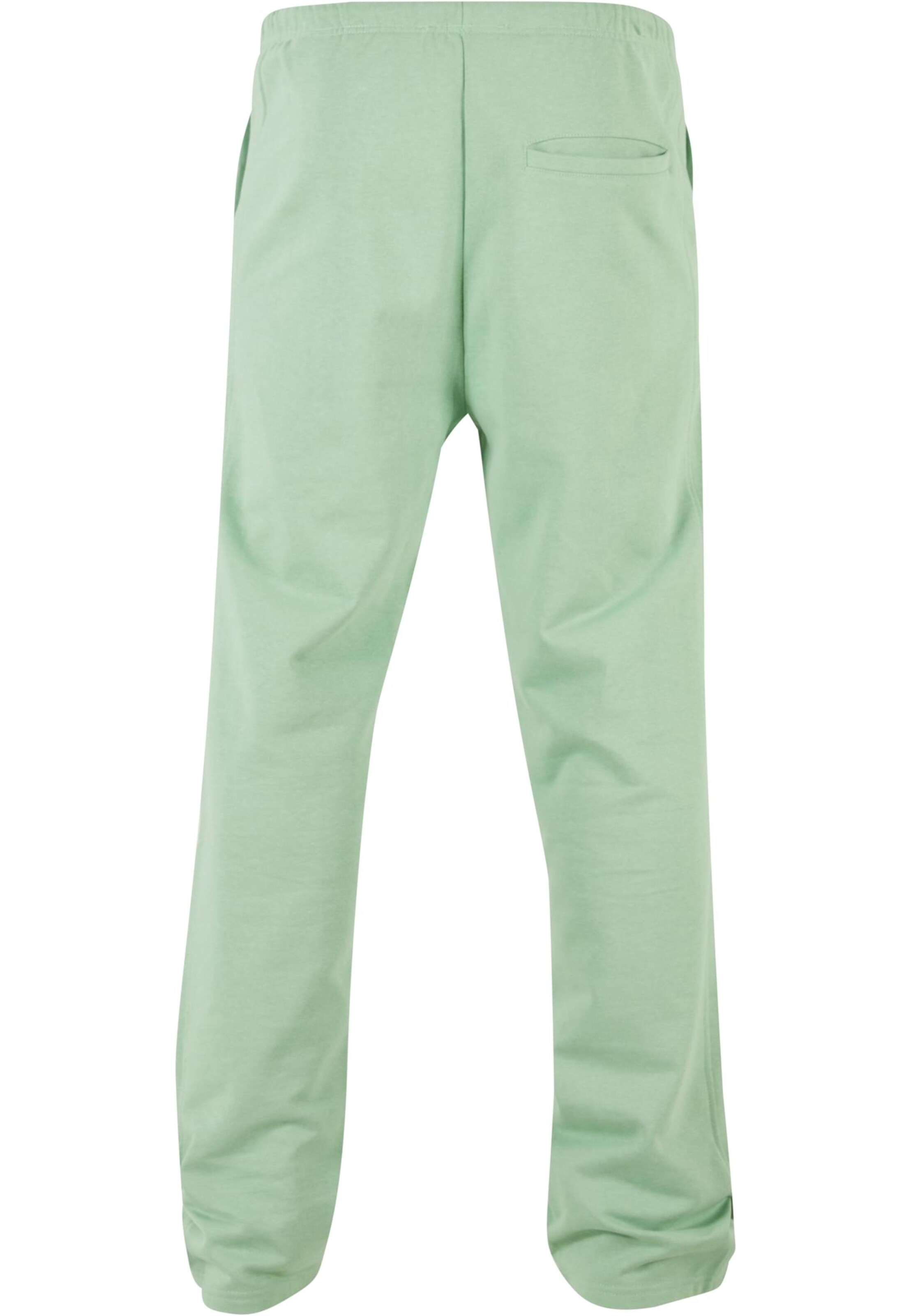 regular Pantaloni 'Sense' di 9N1M SENSE in verde