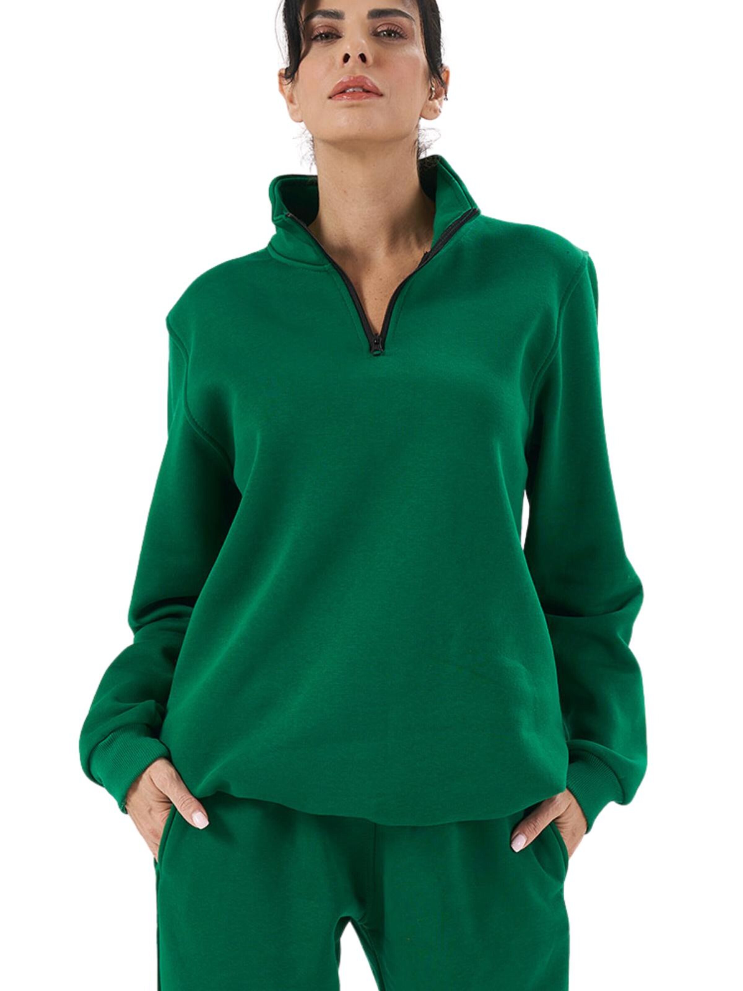 LOUIS LECLER Sweatshirt 'Sage' in Groen