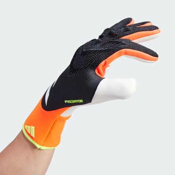 Gants de sport 'Predator Pro Goalkeeper' ADIDAS PERFORMANCE en mélange de couleurs