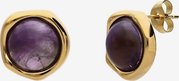 Lucardi Oorbellen in Goud: voorkant