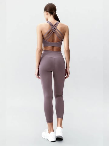 Tommy Life - Fato de desporto em roxo