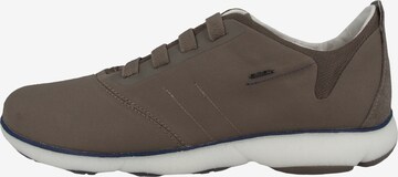 GEOX Sneaker in Grau: predná strana