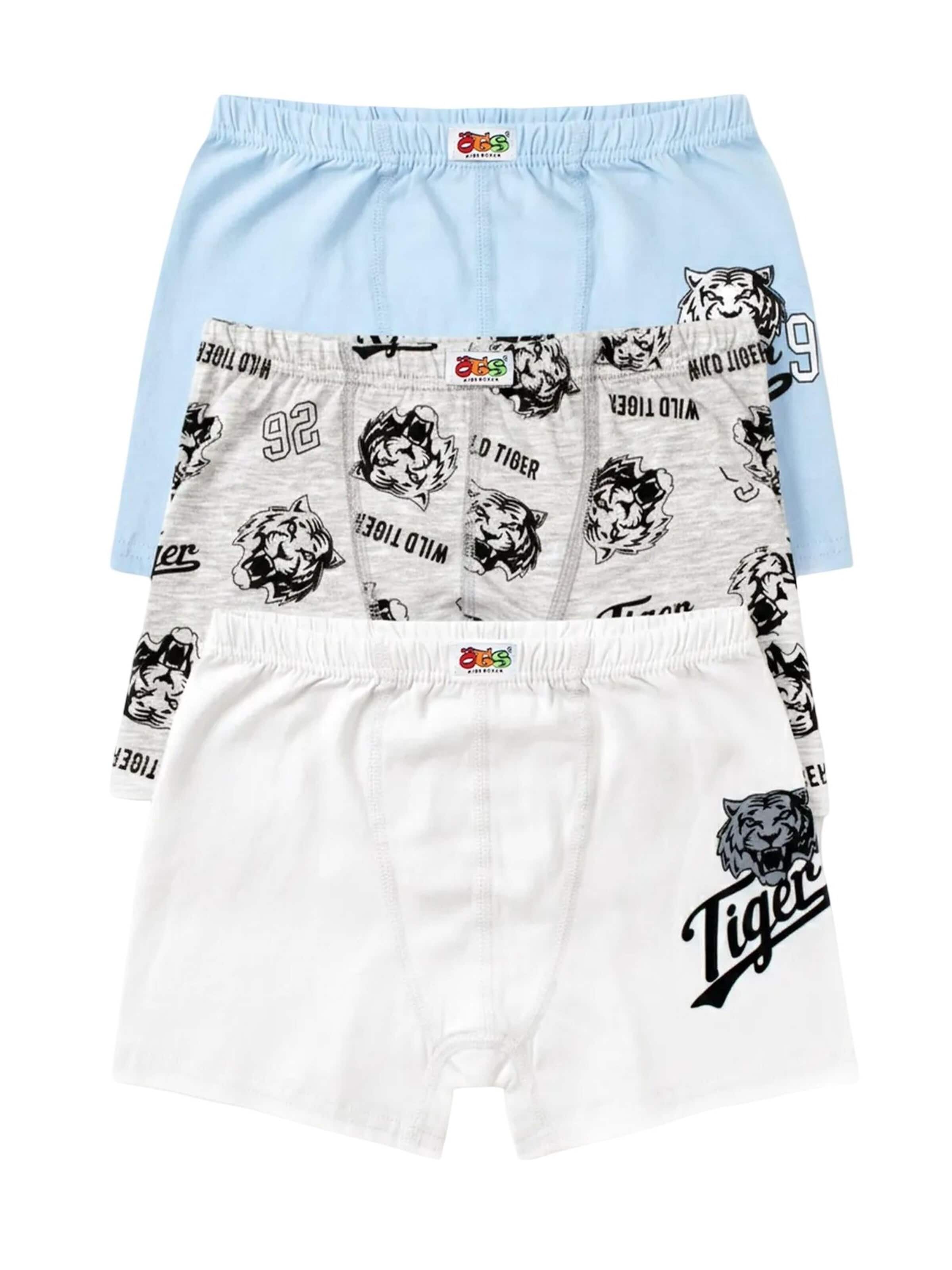 ÖTS Unterhose 'ÖTS Herren Boxerbriefs'‌‌ in Mischfarben: Vorderseite