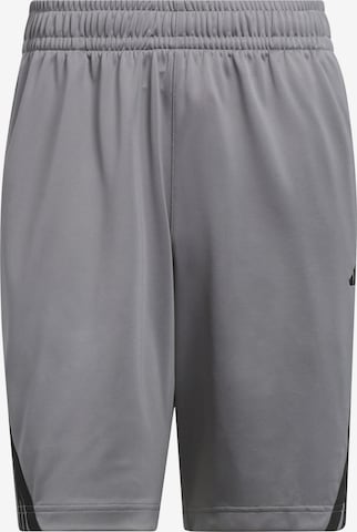 Pantaloni sportivi 'Legends' di ADIDAS PERFORMANCE in grigio: frontale