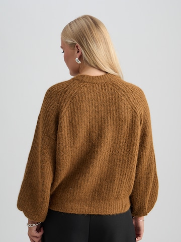 Pull-over 'Silami' Peppercorn en marron