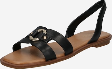 Sandalo con cinturino 'FANDRA' di ALDO in nero: frontale