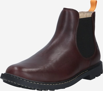 TIMBERLAND Chelsea boots 'Belanger' in Brown: front