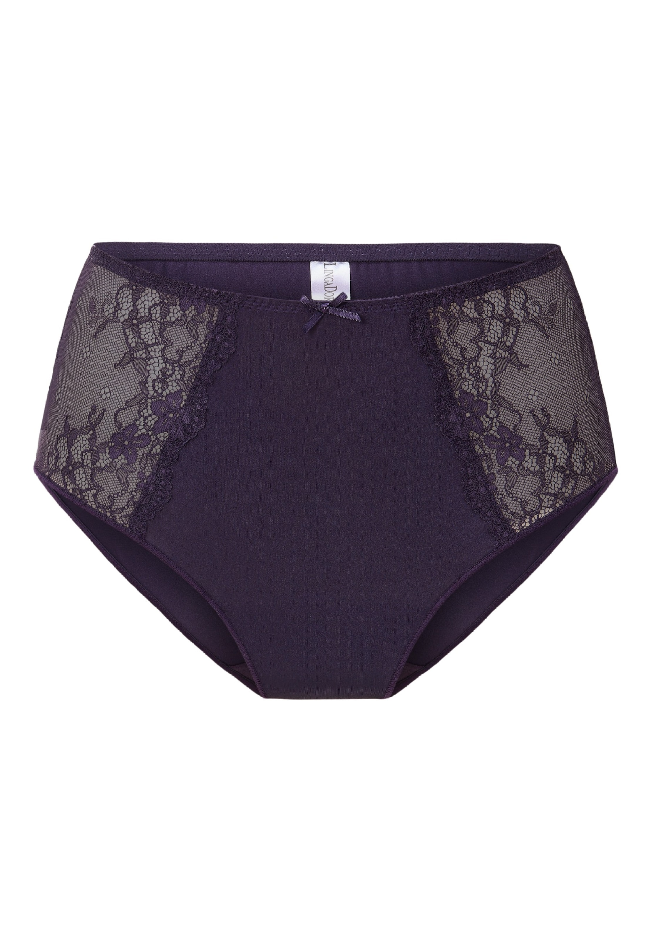 Slip di LingaDore in lilla: frontale