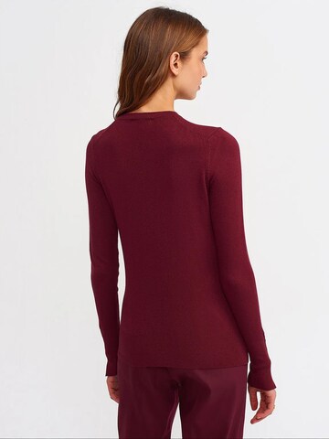 Dilvin Kampsun 'Pullover', värv punane
