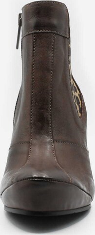 TIGGERS Chelsea Boots in Brown