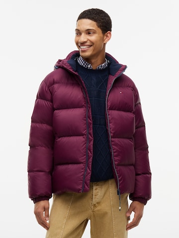 Tommy Jeans Winter Jacket 'Essential' in Purple: front
