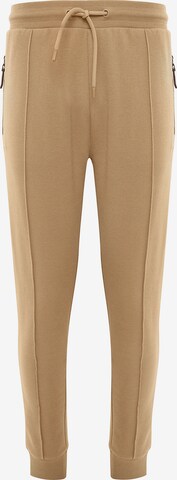 Threadbare Tapered Pants 'Mickey' in Brown: front