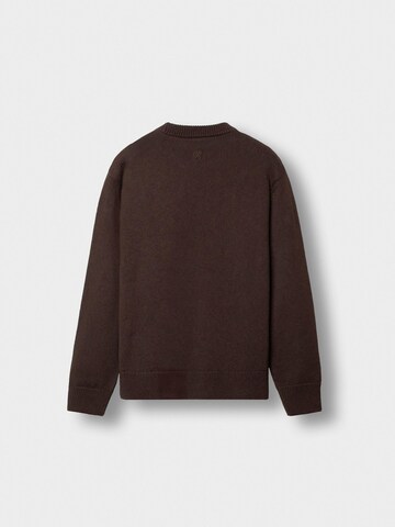 Burocs Pullover‌‌‌‌‌‌‌ in Braun