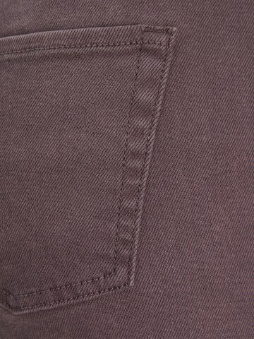 évasé Pantalon 'AJA' JJXX en marron