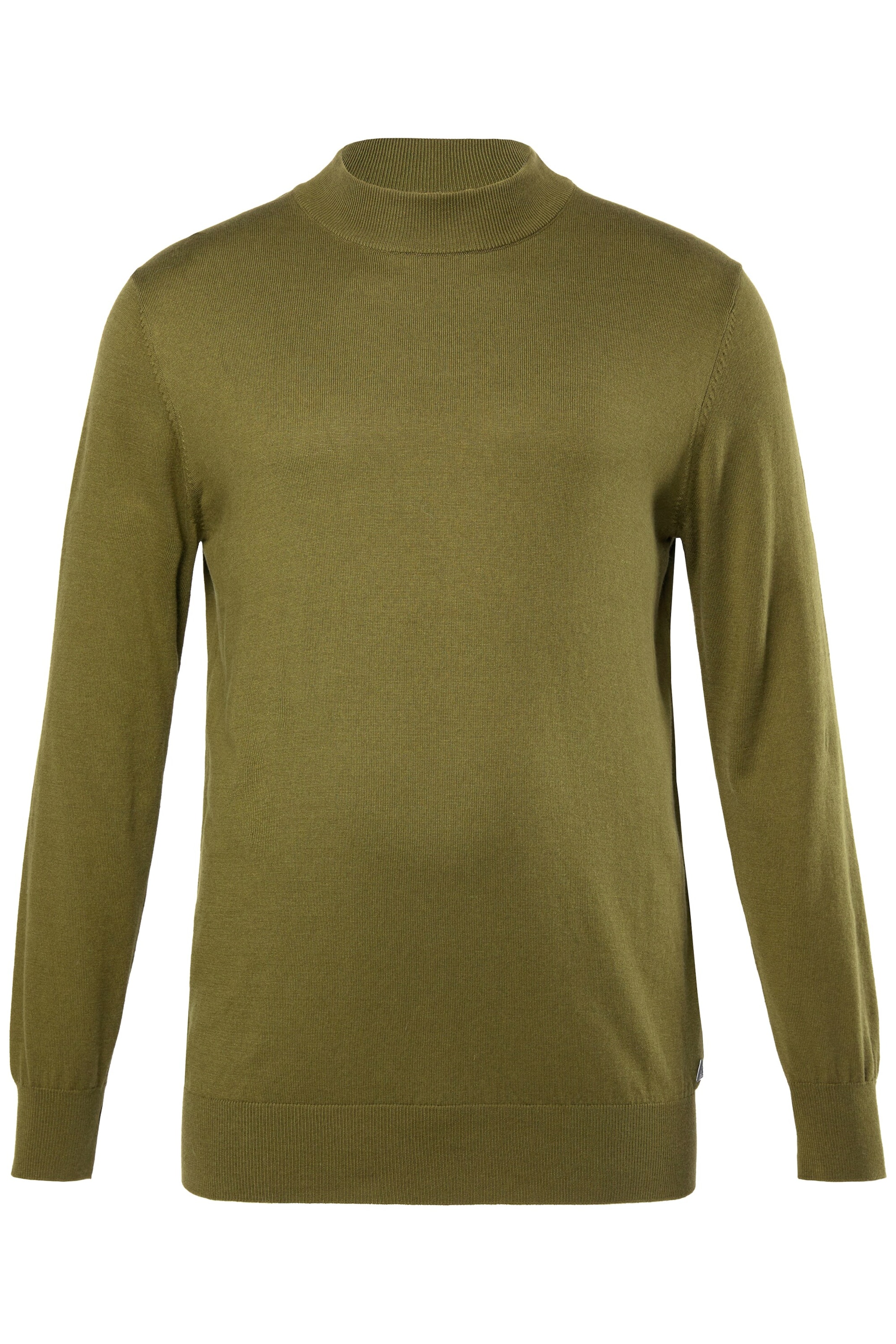 JP1880 Pullover in Grün: Vorderseite