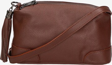 Gave Lux Handbag in Brown: front