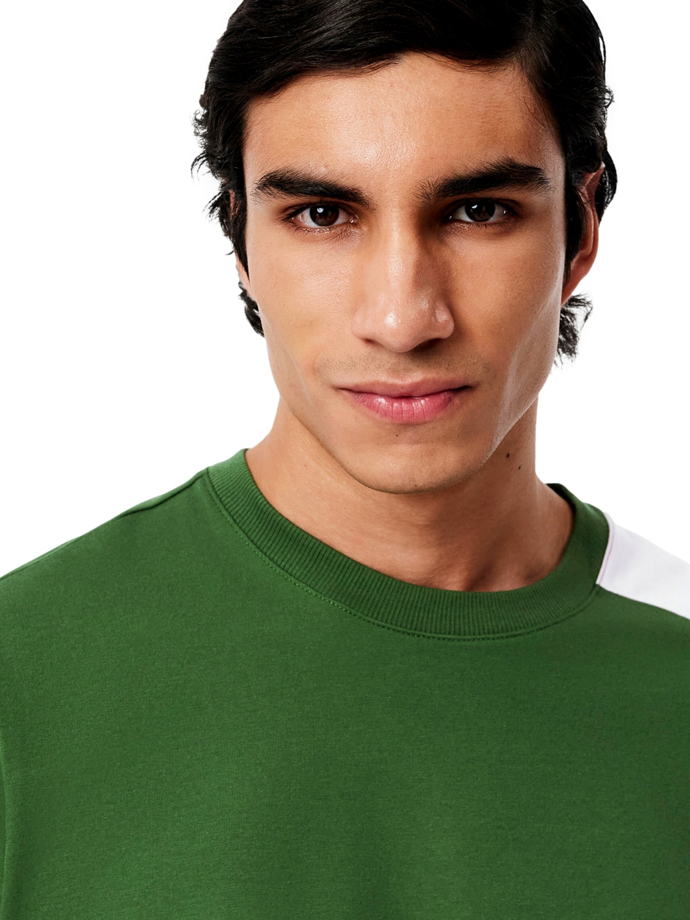 LACOSTE Sweatshirt in Groen