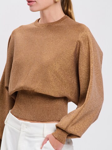 Influencer Sweater in Brown