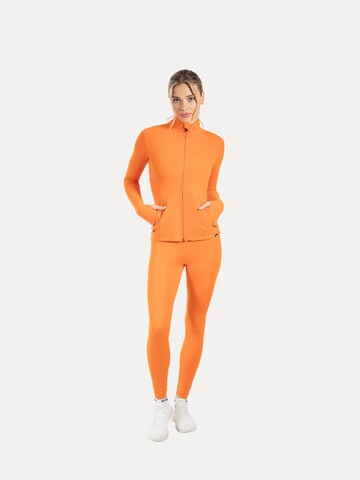 Smilodox Training Jacket in Orange