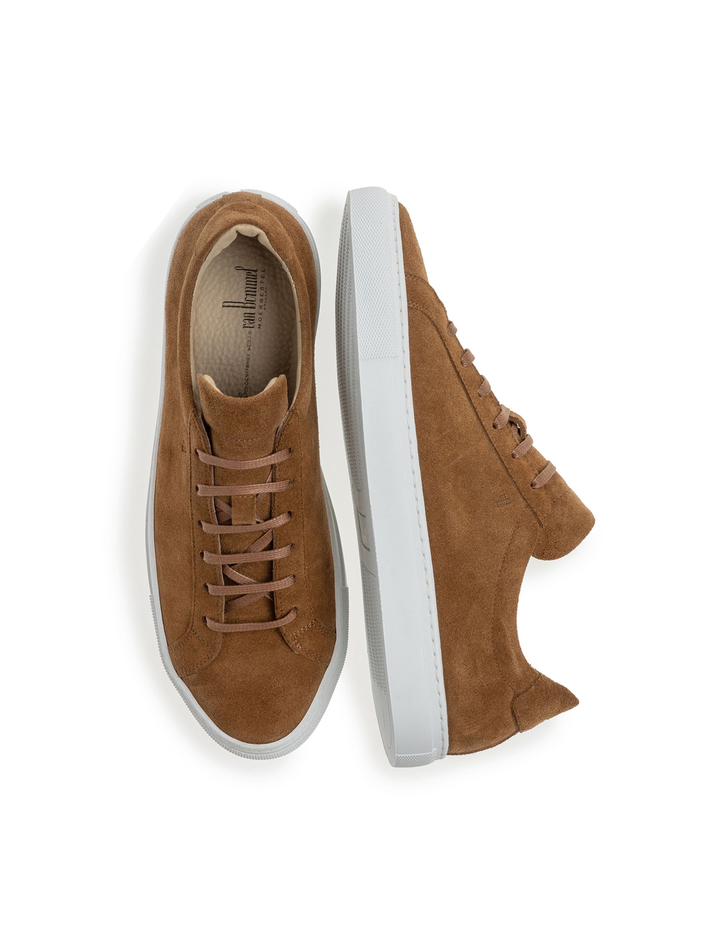 Sneaker bassa 'Corta 01' di Floris van Bommel in marrone