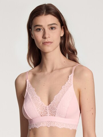 CALIDA Triangle Bra in Pink: front