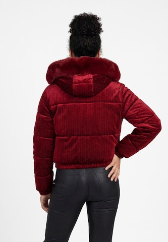 taddy - Chaqueta de invierno en rojo