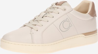 COACH Sneakers low i kitt / lys beige, Produktvisning