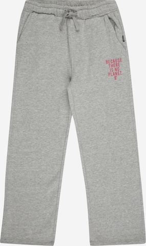Regular Pantalon 'RINOALF' ECOALF en gris : devant