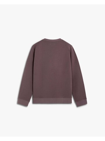 Sweat-shirt Scalpers en marron