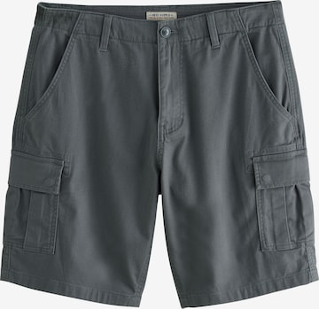 pilka Next Standartinis Laisvo stiliaus kelnės: priekis