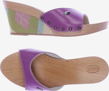 SCHOLL Sandalen 36 in Lila: predná strana