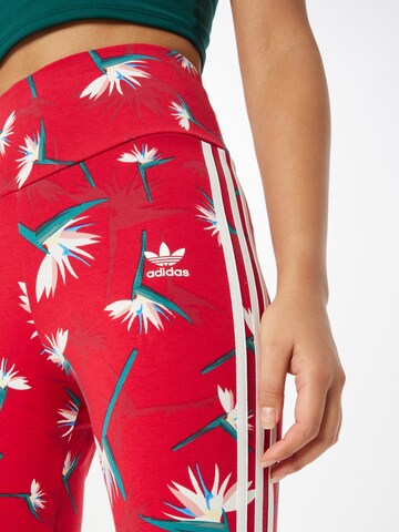 Skinny Leggings 'Thebe Magugu X ' de la ADIDAS ORIGINALS pe roșu