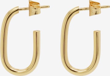 24Kae Earrings in Gold