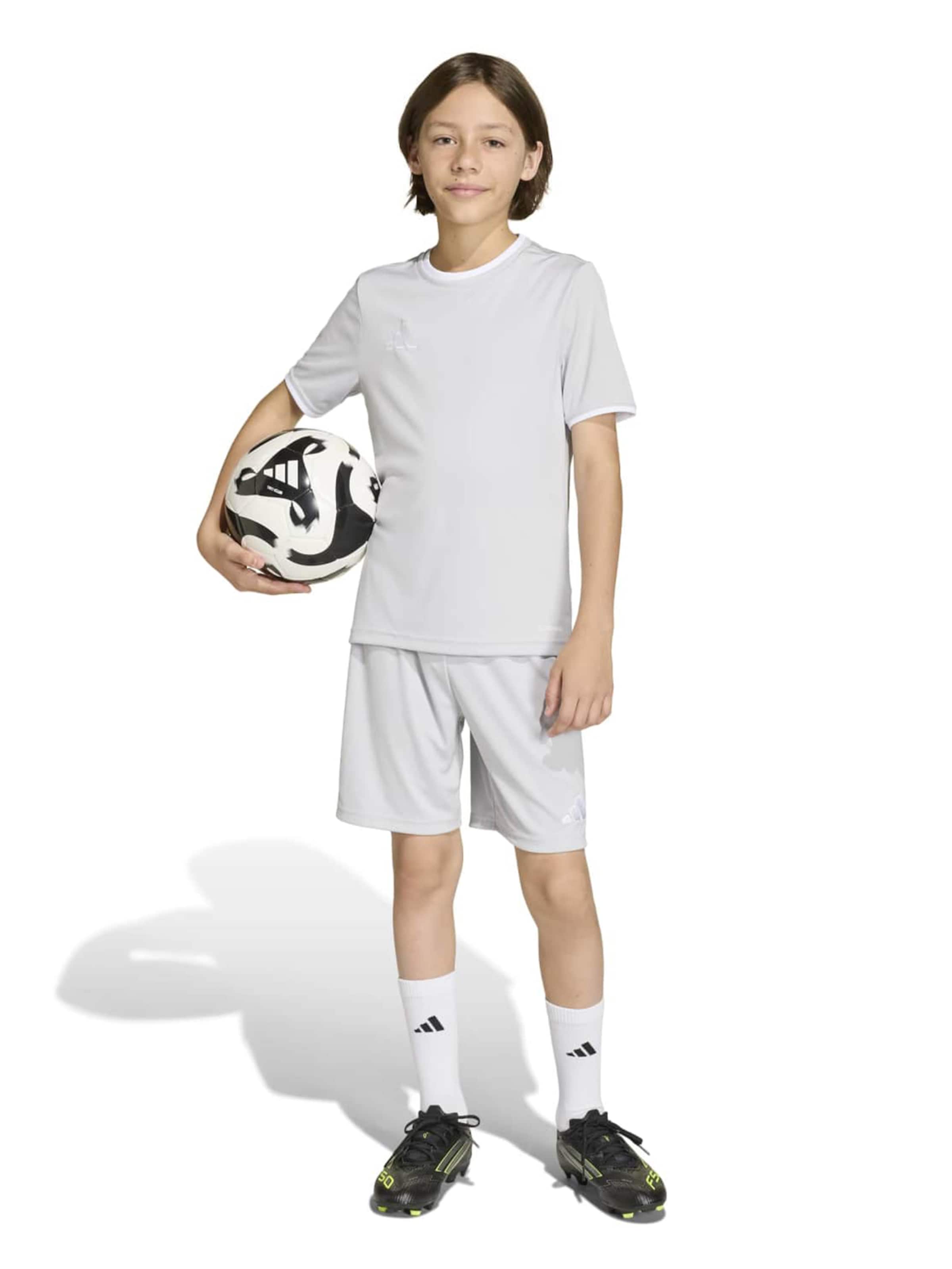 ADIDAS PERFORMANCETehnička sportska majica 'ENT26' - siva boja