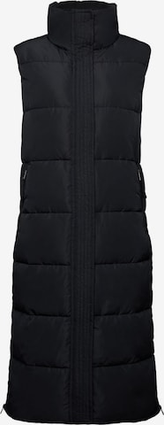 ESPRIT Bodywarmer in Zwart: voorkant