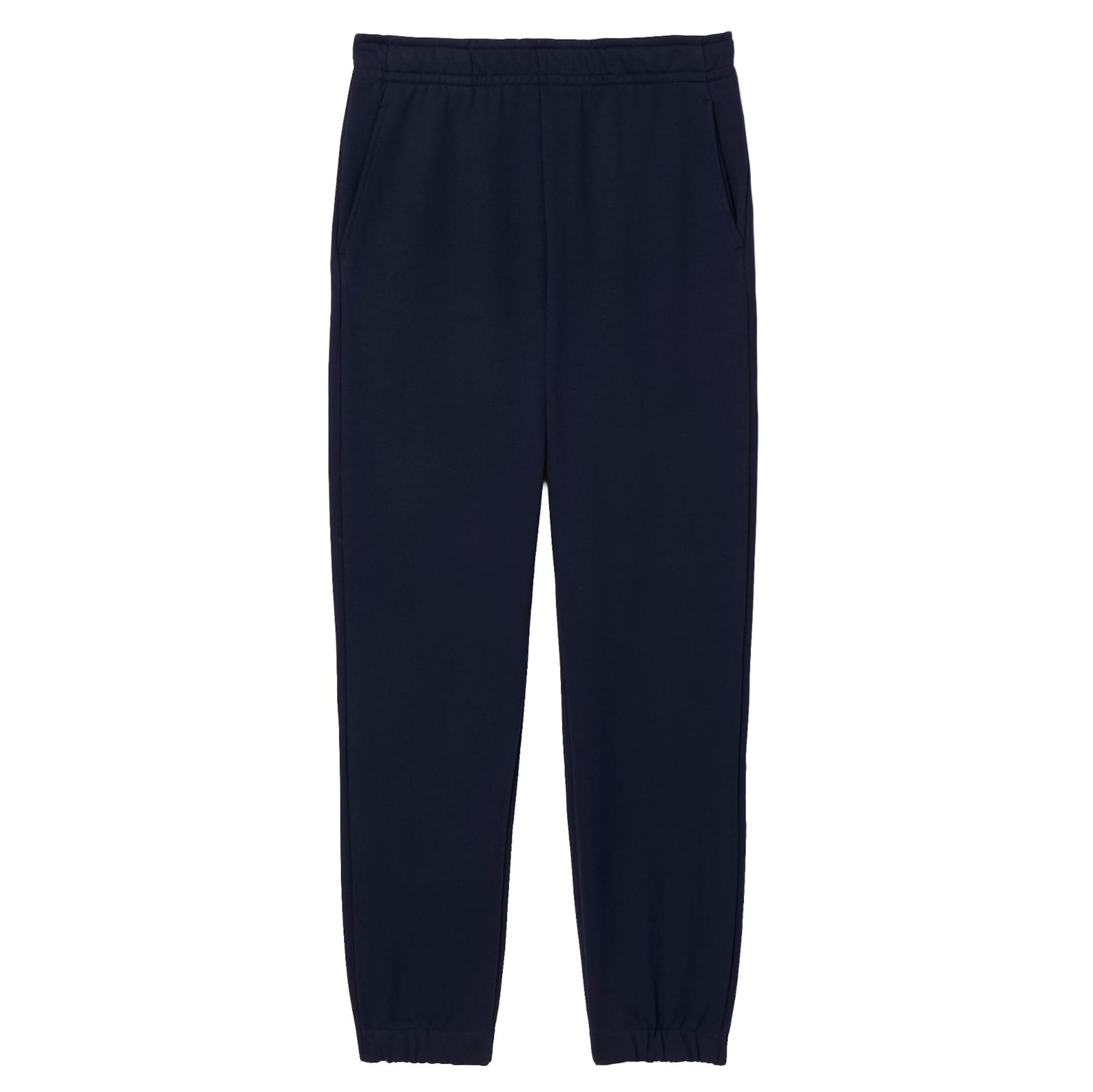 LACOSTE Regular Workout Pants in Blue: front