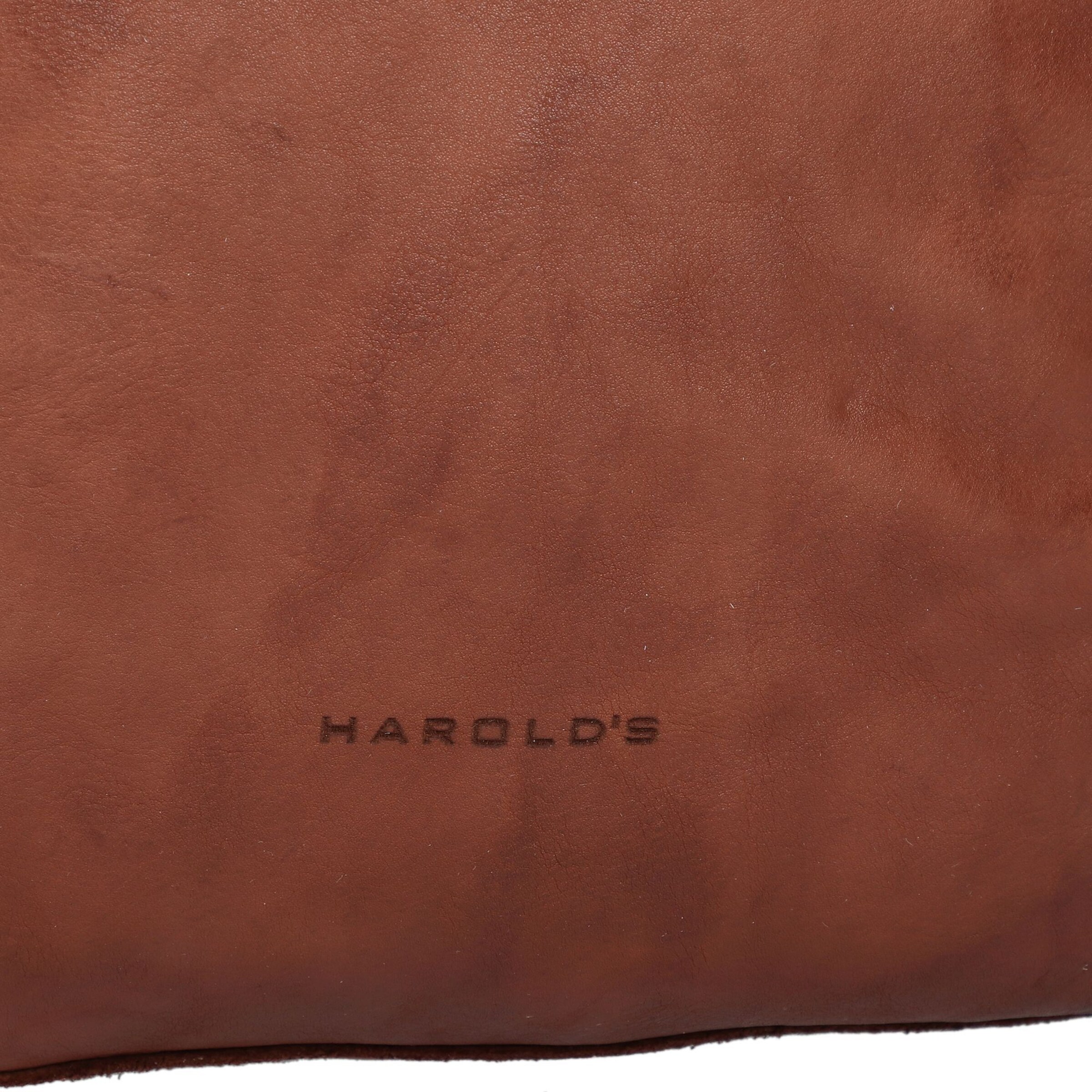 Harold's Backpack in Brown