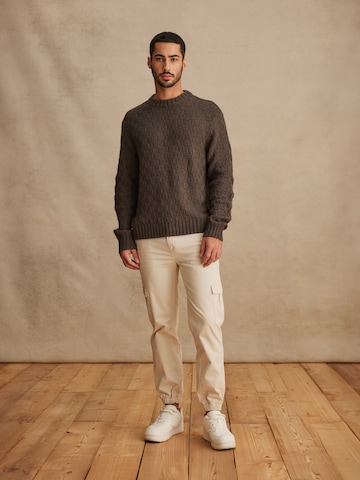 DAN FOX APPAREL Sweater 'Hermann' in Grey: front